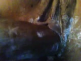 Thumb 10