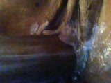 Thumb 11