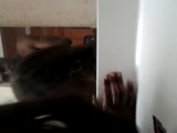 Thumb 13